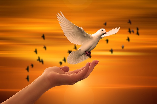 平和を象徴する鳩