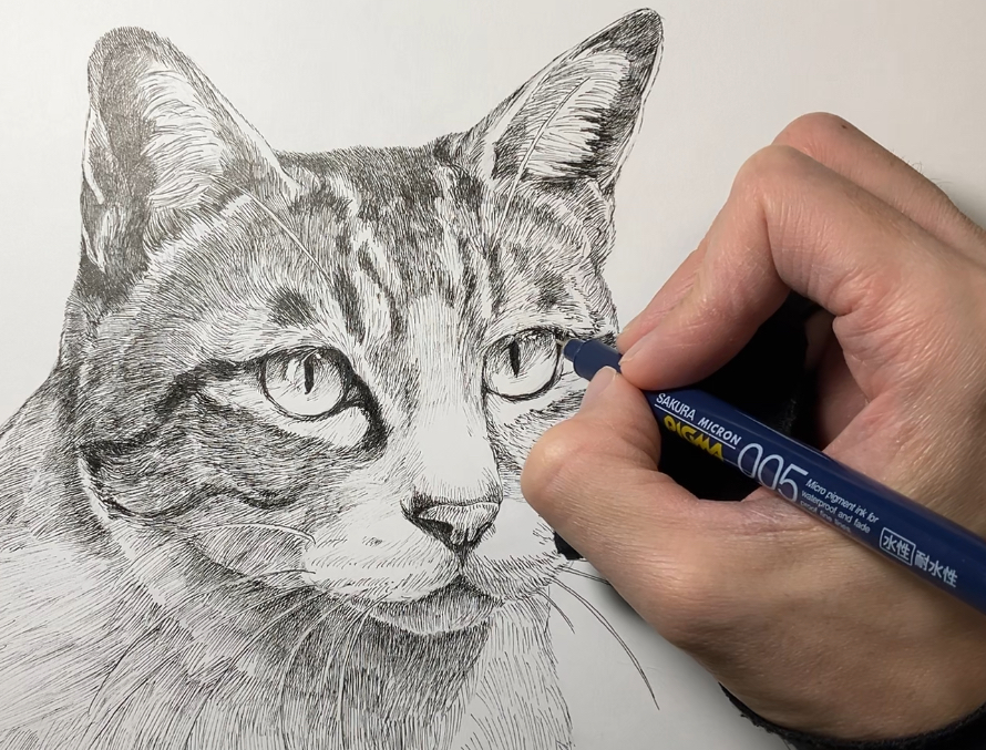 猫　ペン画