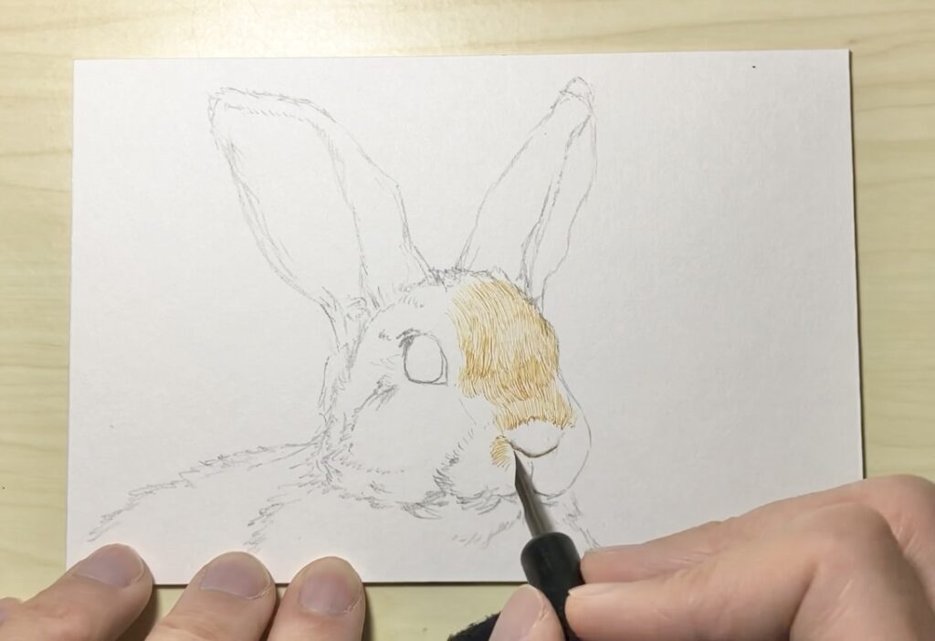 うさぎ　ペン画