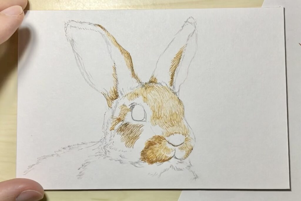 うさぎ　ペン画