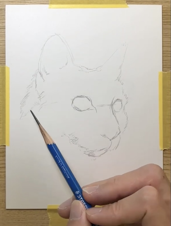 ペン画　猫