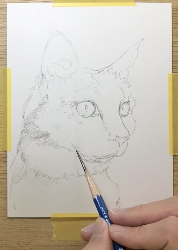 ペン画　猫