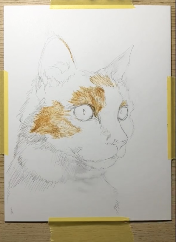 ペン画　猫