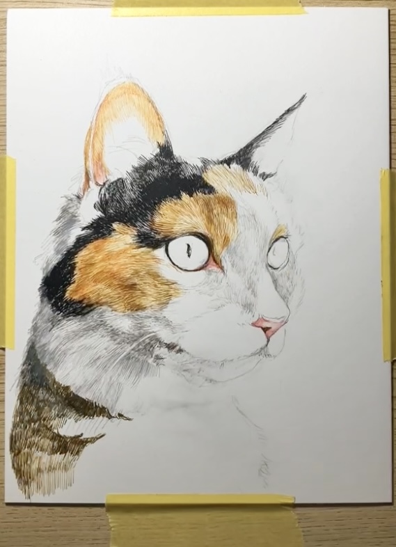 ペン画　猫