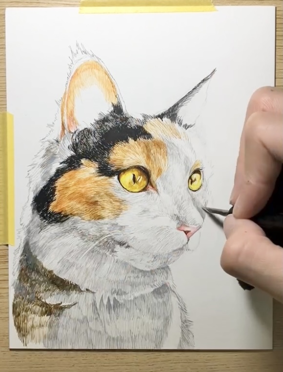 ペン画　猫