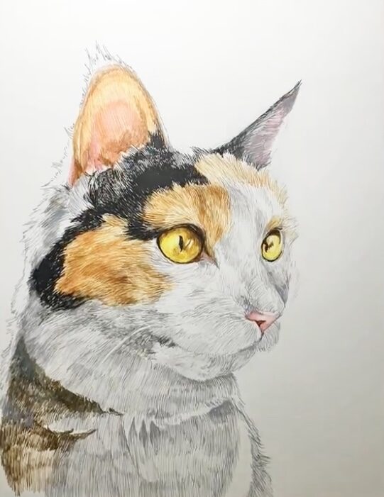 ペン画　猫