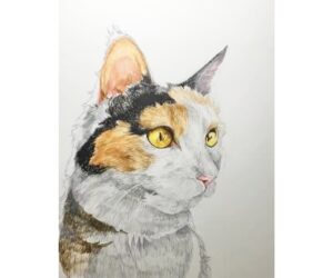 ペン画　猫