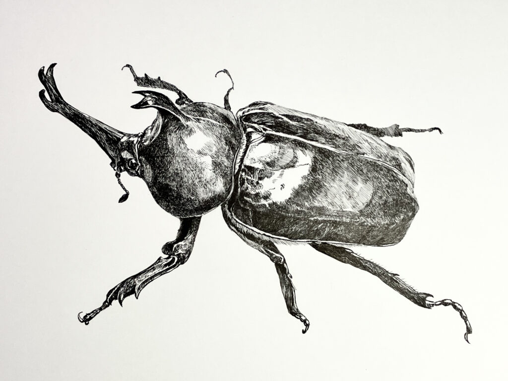 ペン画のカブトムシ完成