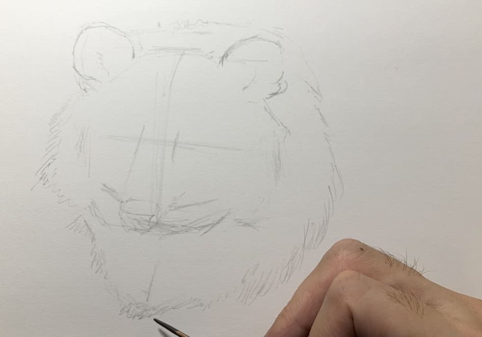 ペン画動物　たぬきの下描き